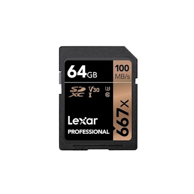 LEXAR 32GB JUMPDRIVE® M22 USB2.0 LIGHT GOLD FLASH